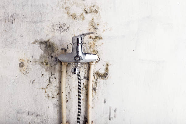 Best Mold Cleaning Services  in Hunters Creek Village, TX