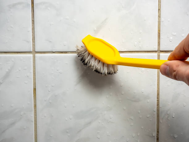 Hunters Creek Village, TX Mold Removal Company