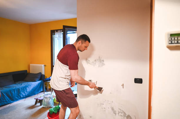 Best Same-Day Mold Removal  in Hunters Creek Village, TX